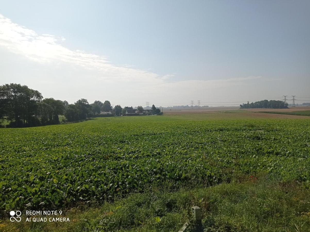 Pulilane Hotel Le Torp-Mesnil Luaran gambar